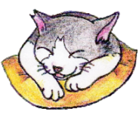 ブログ おおぶ地域ねこの会